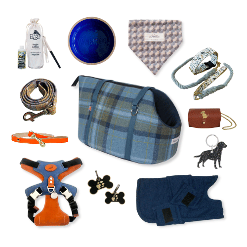 Accessories for pets