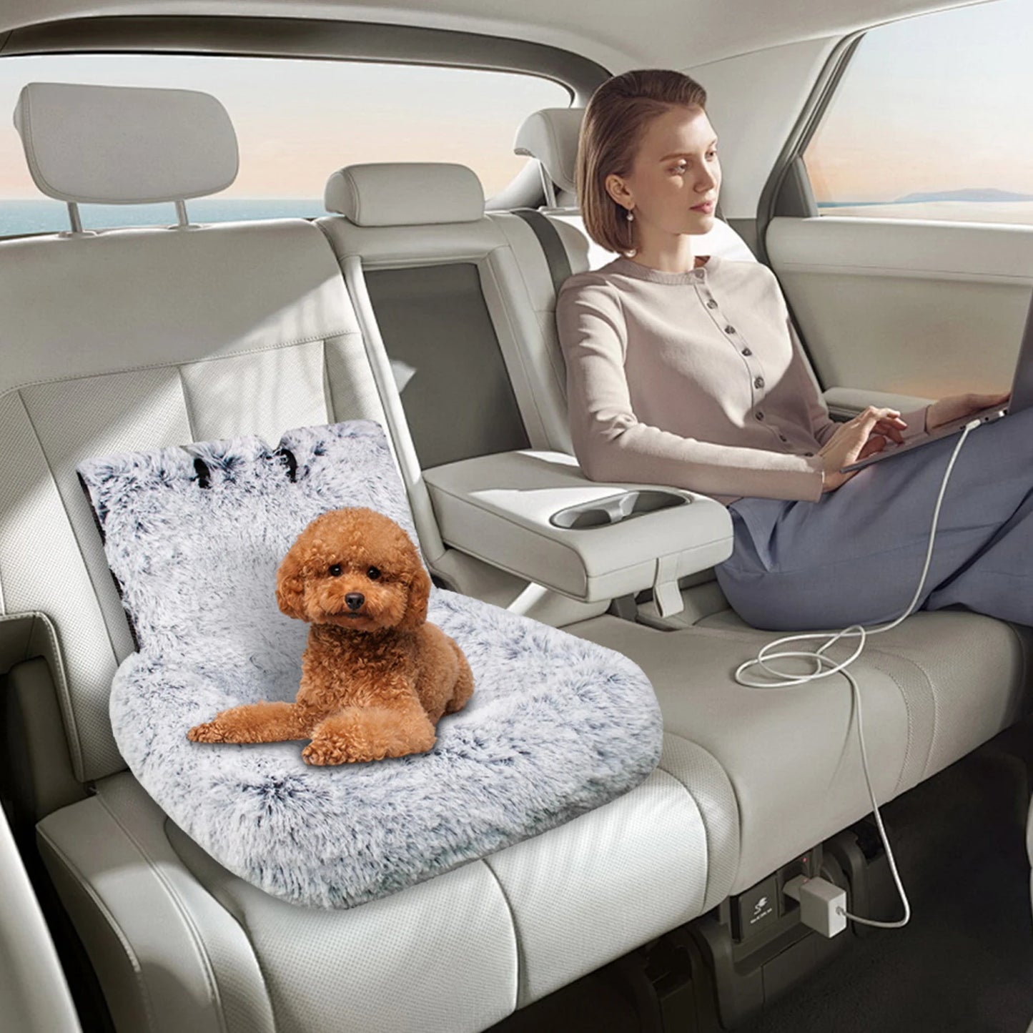 CozyPaw-Dog Car Seat with Cushion